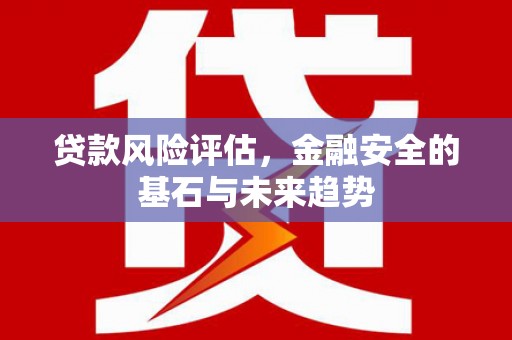 东阿贷款风险评估，金融安全的基石与未来趋势