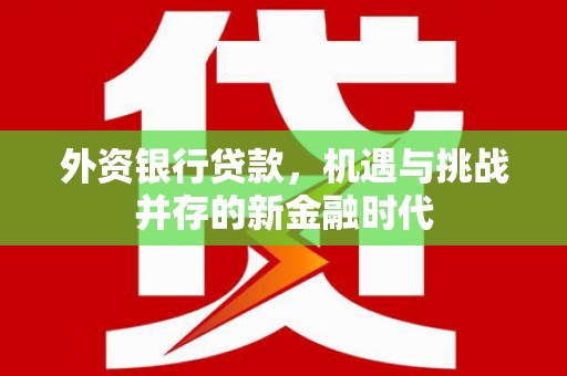 东阿外资银行贷款，机遇与挑战并存的新金融时代