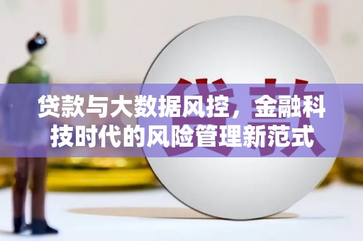 东阿贷款与大数据风控，金融科技时代的风险管理新范式