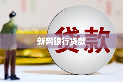 东阿新网银行贷款