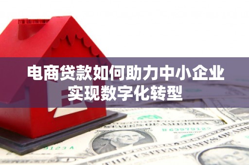 东阿电商贷款如何助力中小企业实现数字化转型