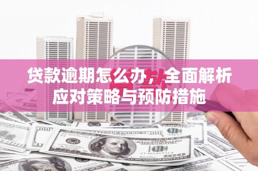 东阿贷款逾期怎么办，全面解析应对策略与预防措施