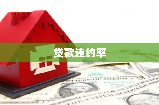 东阿贷款违约率