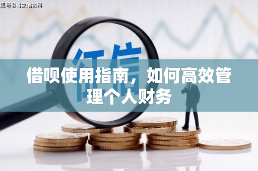 东阿借呗使用指南，如何高效管理个人财务