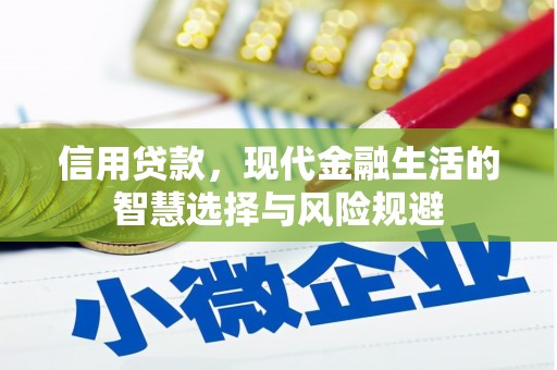 东阿信用贷款，现代金融生活的智慧选择与风险规避