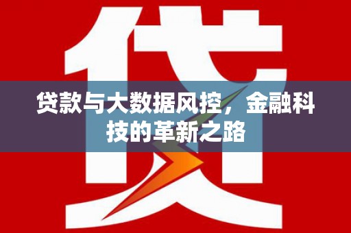 东阿贷款与大数据风控，金融科技的革新之路