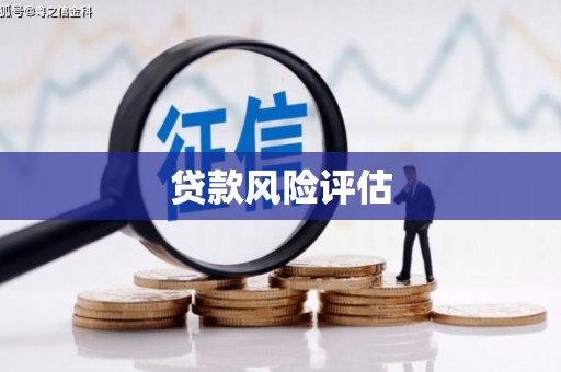 东阿贷款风险评估