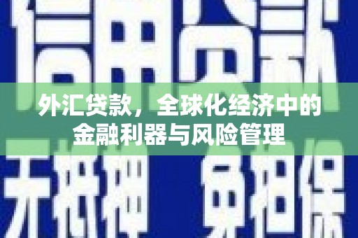 东阿外汇贷款，全球化经济中的金融利器与风险管理