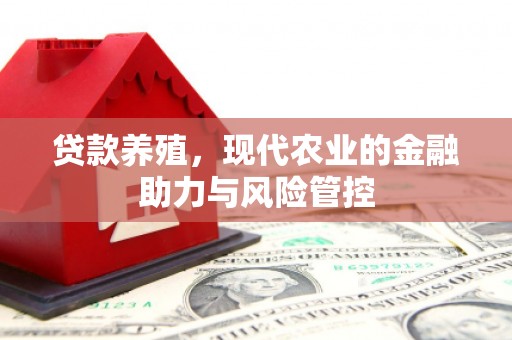 东阿贷款养殖，现代农业的金融助力与风险管控