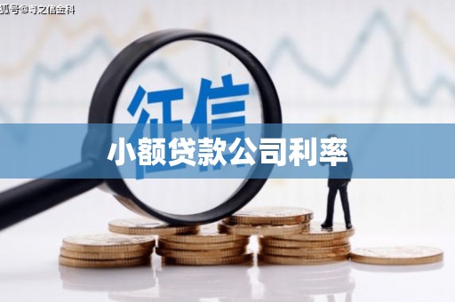 东阿小额贷款公司利率