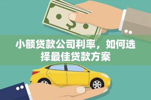 东阿小额贷款公司利率，如何选择最佳贷款方案