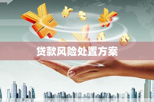 东阿贷款风险处置方案