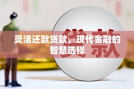 东阿灵活还款贷款，现代金融的智慧选择