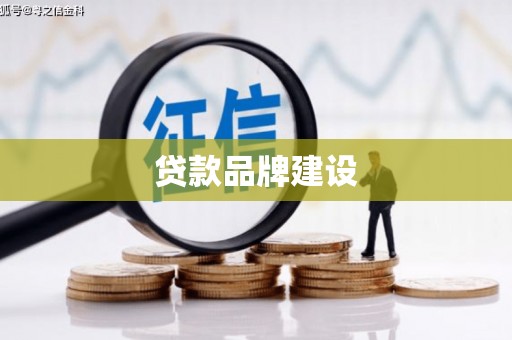 东阿贷款品牌建设