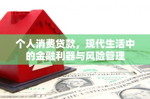东阿个人消费贷款，现代生活中的金融利器与风险管理