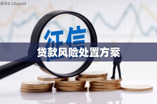 东阿贷款风险处置方案
