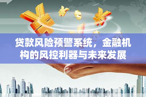 东阿贷款风险预警系统，金融机构的风控利器与未来发展