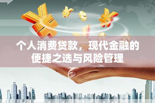 东阿个人消费贷款，现代金融的便捷之选与风险管理