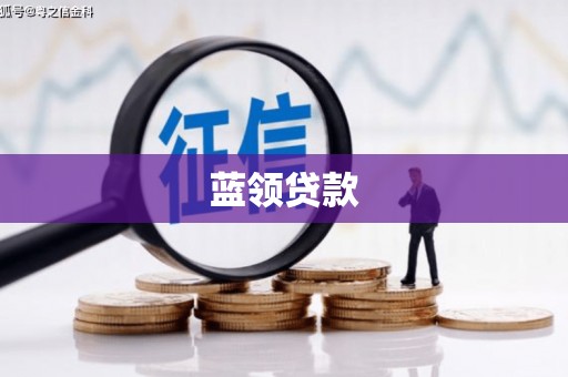 东阿蓝领贷款
