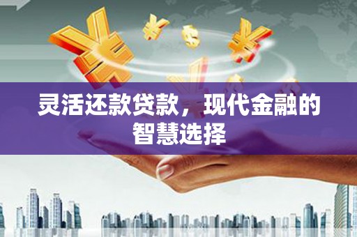 东阿灵活还款贷款，现代金融的智慧选择