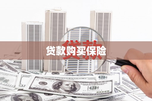 东阿贷款购买保险