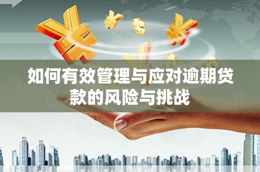 东阿如何有效管理与应对逾期贷款的风险与挑战