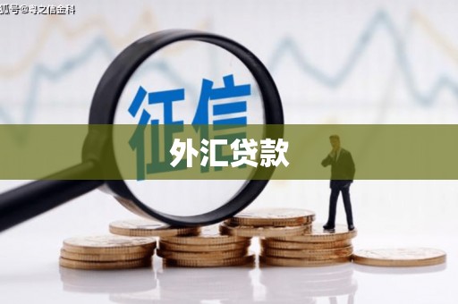 东阿外汇贷款