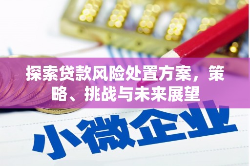 东阿探索贷款风险处置方案，策略、挑战与未来展望