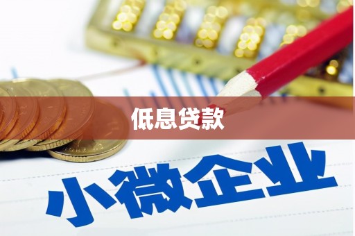 东阿低息贷款