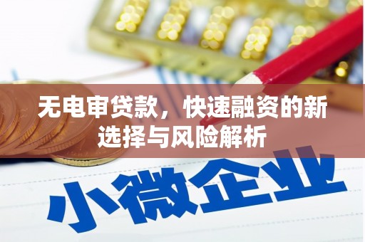 东阿无电审贷款，快速融资的新选择与风险解析