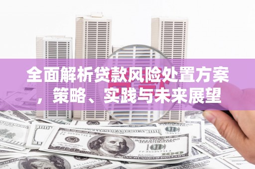 东阿全面解析贷款风险处置方案，策略、实践与未来展望