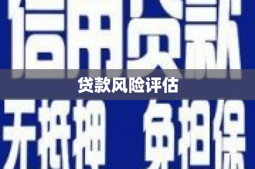 东阿贷款风险评估