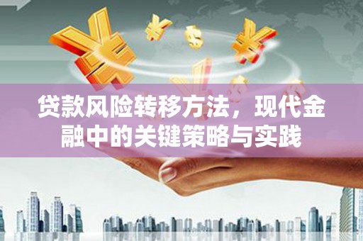 东阿贷款风险转移方法，现代金融中的关键策略与实践