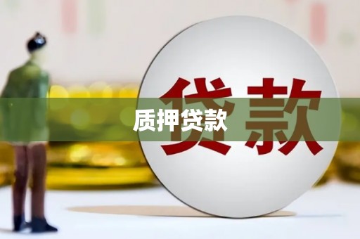 东阿质押贷款