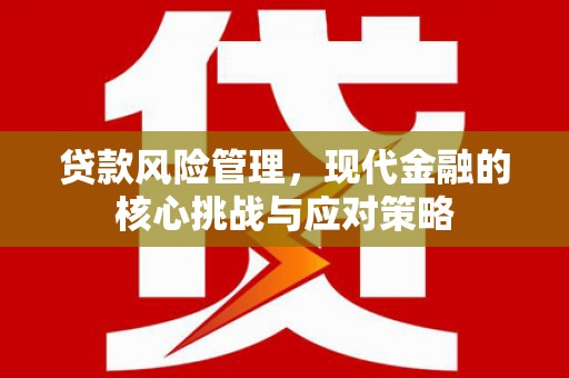 东阿贷款风险管理，现代金融的核心挑战与应对策略