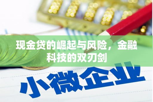 东阿现金贷的崛起与风险，金融科技的双刃剑