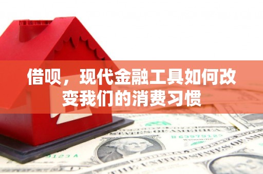 东阿借呗，现代金融工具如何改变我们的消费习惯