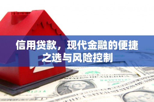 东阿信用贷款，现代金融的便捷之选与风险控制