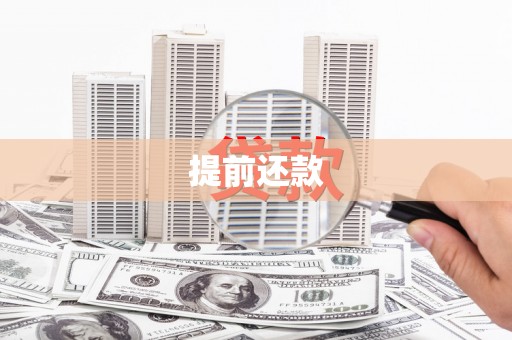 东阿提前还款