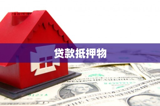 东阿贷款抵押物