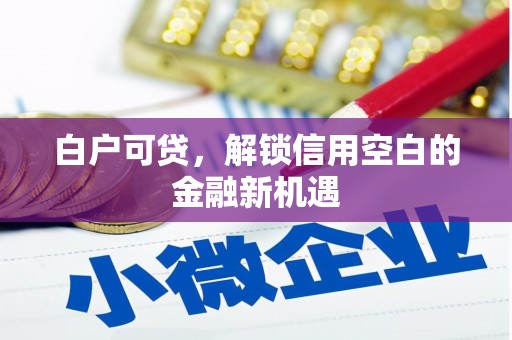 东阿白户可贷，解锁信用空白的金融新机遇