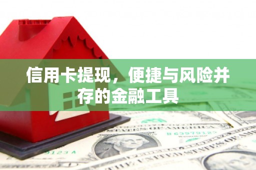 东阿信用卡提现，便捷与风险并存的金融工具
