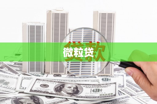 东阿微粒贷
