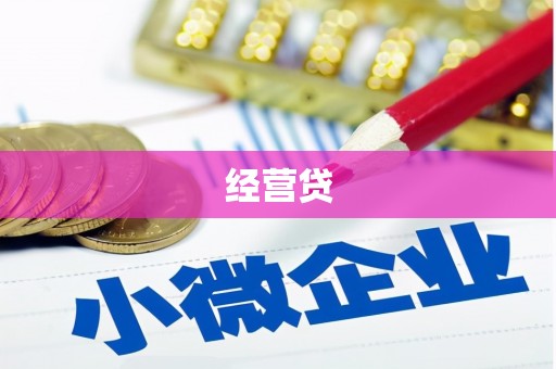 东阿经营贷