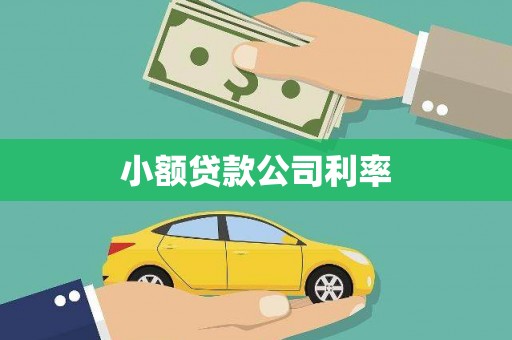 东阿小额贷款公司利率