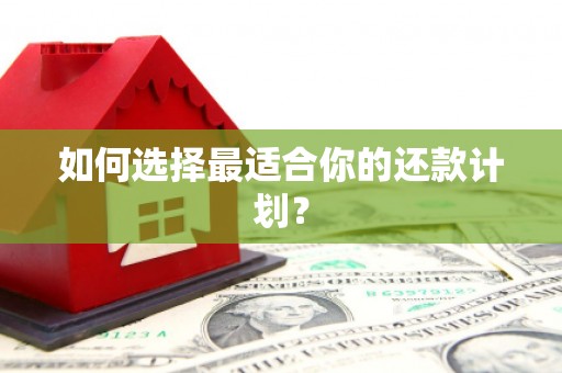 东阿如何选择最适合你的还款计划？