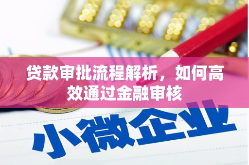 东阿贷款审批流程解析，如何高效通过金融审核
