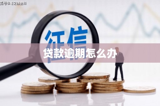 东阿贷款逾期怎么办