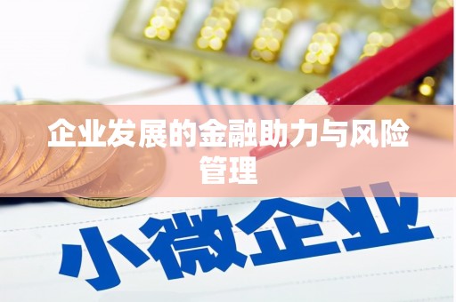 东阿企业发展的金融助力与风险管理