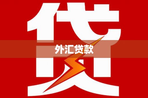 东阿外汇贷款
